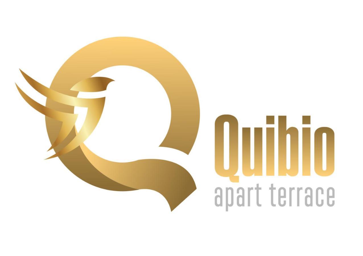 Quibio Apart Terrace Brasov Ngoại thất bức ảnh